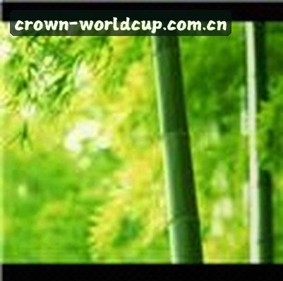 张磊